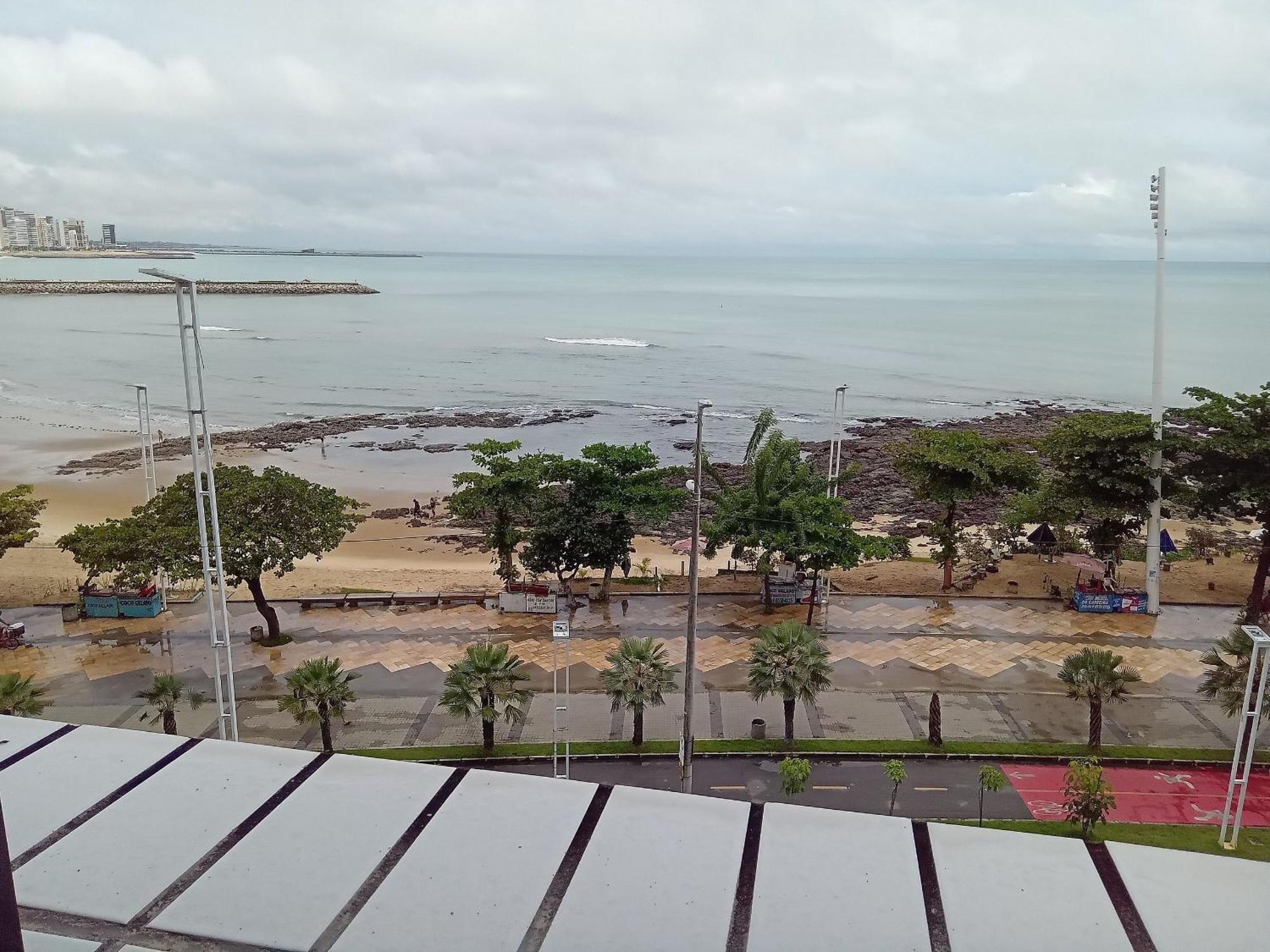 Flat Blue Tree Beira Mar By Escala *